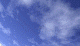Jumbo-04.gif